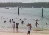 spiaggia-australia-squali